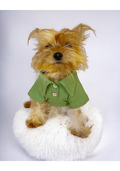Grass Green Köpek Gömleği Köpek Kıyafeti Köpek Elbisesi fiyatları