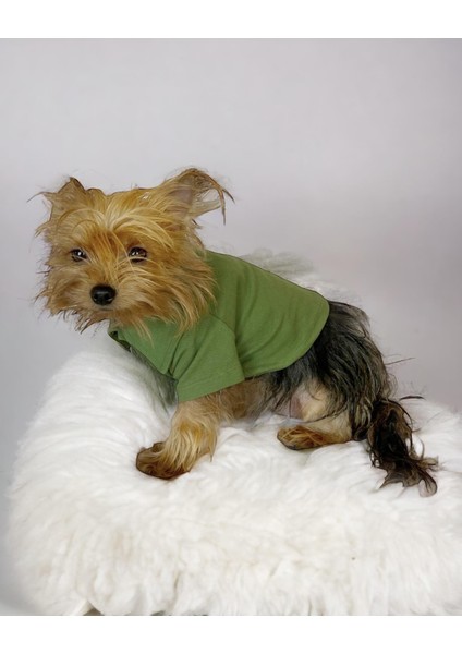 Grass Green Köpek Gömleği Köpek Kıyafeti Köpek Elbisesi indirimleri