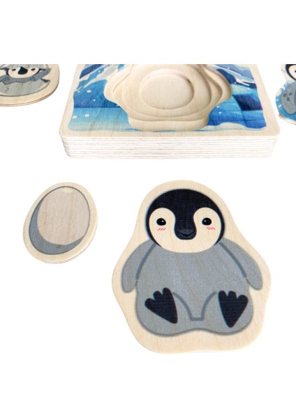 Katmanlı Penguen Yaşam Döngüsü Ahşap Puzzle