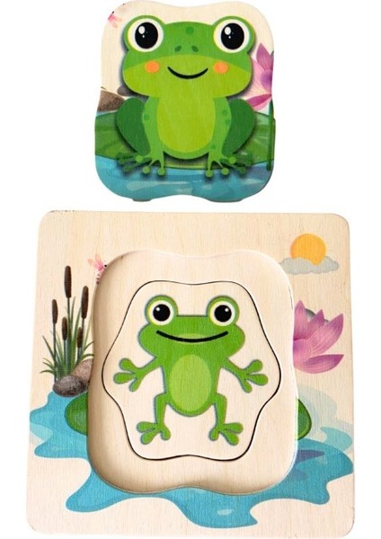 Katmanlı Kurbağa Yaşam Döngüsü Ahşap Puzzle
