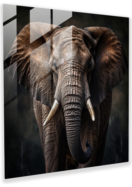 Ethereal Pachyderm Glass Print, 30X30