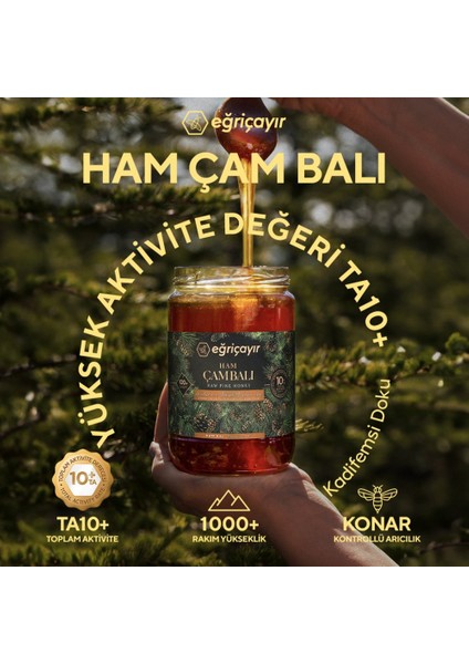 Ham Çam Balı TA10+ 850G (Hakiki, Doğal)