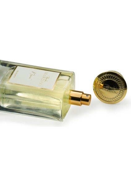 Neva Edp Unisex Parfüm 100 ml