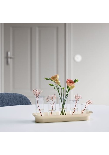 -Vattenkrasse Bitki Çoğaltma Seti