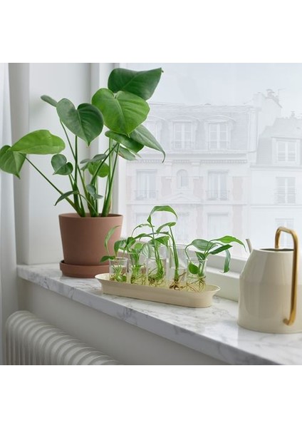 -Vattenkrasse Bitki Çoğaltma Seti fırsatları