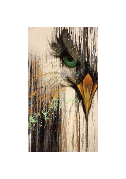 Sayılarla Boyama Seti Kartal-1 40 x 50 cm fiyatları