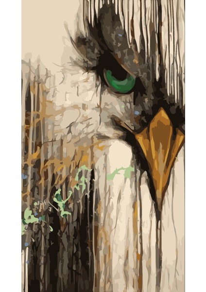Sayılarla Boyama Seti Kartal-1 40 x 50 cm modelleri