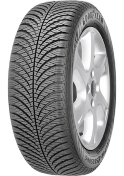 215/55 R18 99V Vector 4 Seasons Suv Gen-2 Xl Oto 4 Mevsim Lastiği ( Üretim Yılı: 2024 )