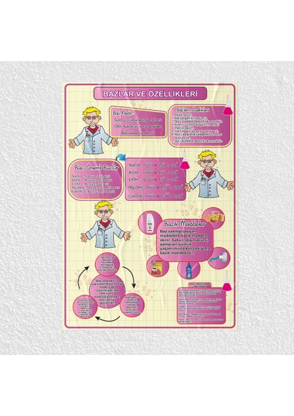Bazlar ve Özellikleri Posteri - PO370