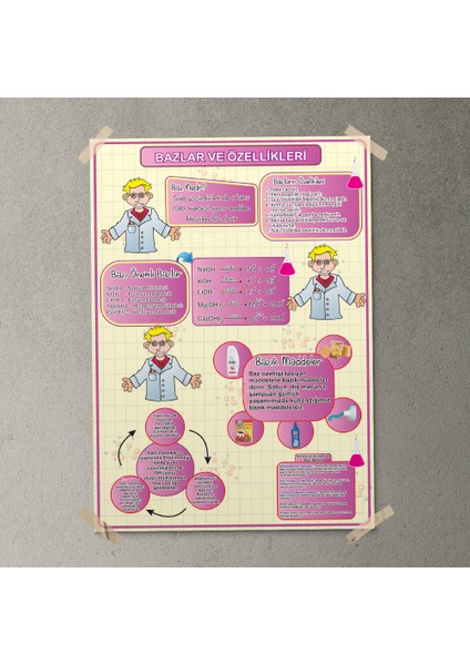 Bazlar ve Özellikleri Posteri - PO370 fırsatları