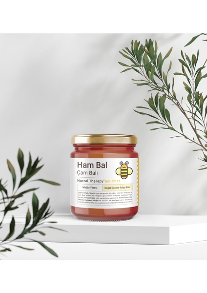 Ham Bal Çam Balı 470 gr