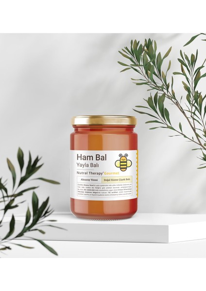 Ham Bal Yayla Balı 1425 gr