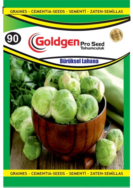 Kademgiller Brüksel Lahanası Tohumu