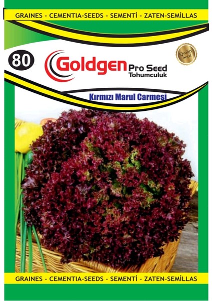 Kademgiller Kırmızı Marul Tohumu