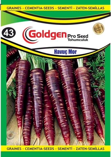 Kademgiller Mor Havuç Tohumu