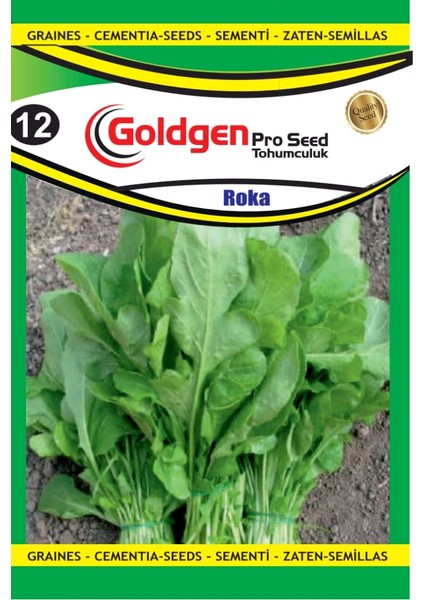 Kademgiller Roka(Iri Yaprak) Tohumu