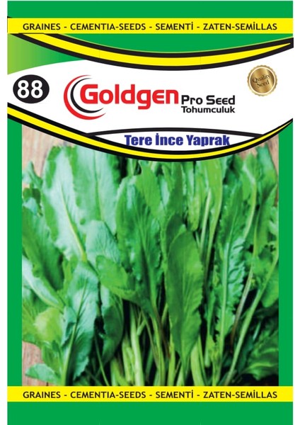 Kademgiller Ince Yaprak Tere Tohumu