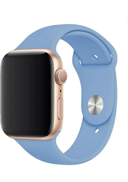 Apple Watch 42 mm / 44MM / 45MM / 49 mm (Seriler /se/ultra ile Uyumlu) M/l Beden Jel Silikon Kordon Mavi