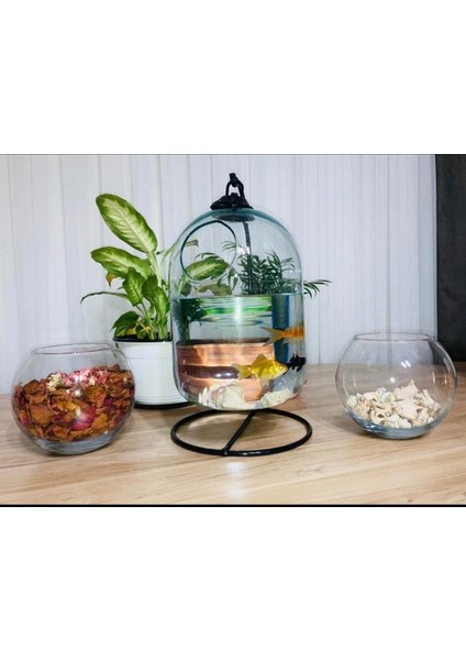 Ferforjeli Akvaryum Askılı Fanus Teraryum