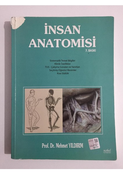 Insan Anatomisi - Prof. Dr. Mehmet Yıldırım