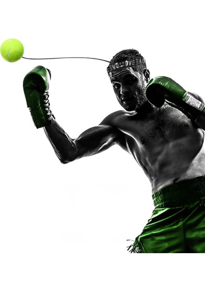 Gümüş Yeşili Tarzı Boks Refleks Hız Yumruk Topu Mma Sanda Boksör Yükseltme Reaksiyon Kuvveti El Göz Eğitim Seti Stres Boks Muay Thai Egzersiz (Yurt Dışından) modelleri