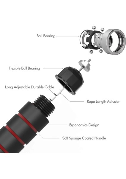 Yeşil Stil Dolaşmayan Hız Ipi Rulmanlı Eva Kaymaz Köpük Kolu Ayarlanabilir Atlama Ipleri Gym Fitness Egzersiz Ekipmanları ile (Yurt Dışından) indirimleri
