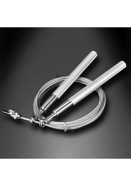 Gümüş Tarzı Ip Atlama Ipi Egzersiz Fitness Ayarlanabilir Yüksek Hızlı Çelik Atlama Ipi Çift Rulman Spor Atlama Ipi Ev Spor Salonu Egzersiz Ekipmanları (Yurt Dışından) modelleri