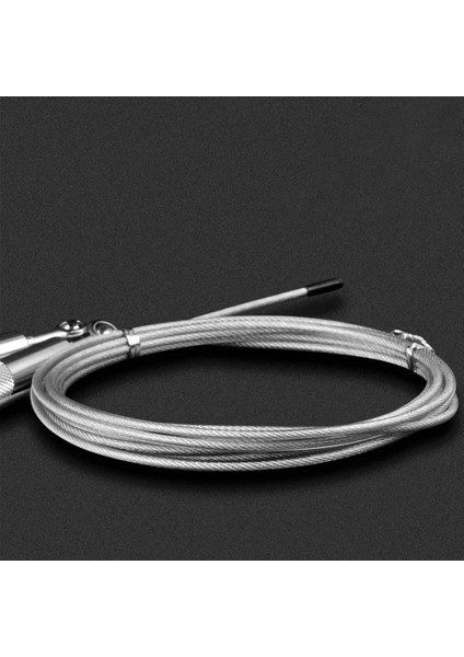 Gümüş Tarzı Ip Atlama Ipi Egzersiz Fitness Ayarlanabilir Yüksek Hızlı Çelik Atlama Ipi Çift Rulman Spor Atlama Ipi Ev Spor Salonu Egzersiz Ekipmanları (Yurt Dışından) fırsatları