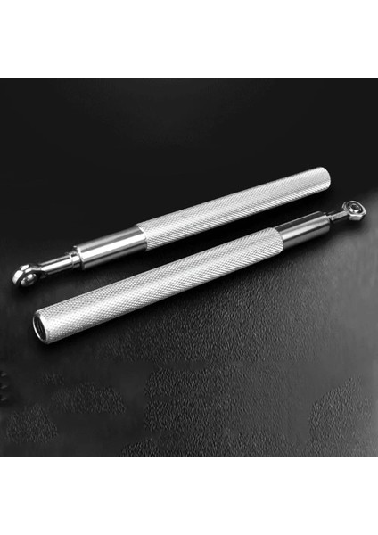 Gümüş Tarzı Ip Atlama Ipi Egzersiz Fitness Ayarlanabilir Yüksek Hızlı Çelik Atlama Ipi Çift Rulman Spor Atlama Ipi Ev Spor Salonu Egzersiz Ekipmanları (Yurt Dışından) indirimleri