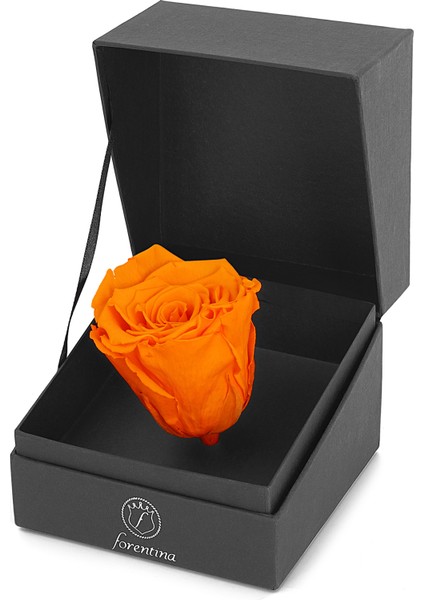 Gümüş Kaplama Sonsuzluk Kolye Küpe Bileklik Yüzük - Turuncu Solmayan Gül Hediye Set PS3259 fiyatları