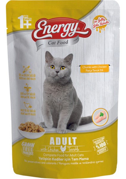 Tavuklu Yetişkin Islak Kedi Maması Pouch 85 Gram