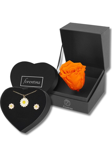 Altın Kaplama Papatya Kolye Küpe - Turuncu Solmayan Gül Hediye Set PS3260