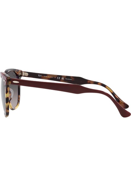 RB2398 1377M3 53 Polarize Unisex Güneş Gözlüğü modelleri