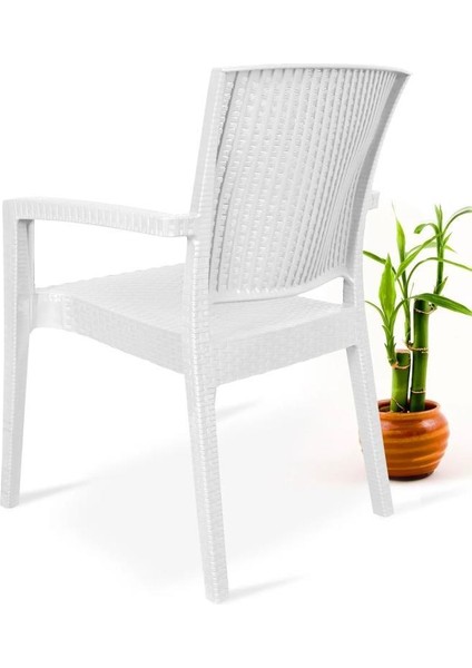 6 Adet Zeugma Rattan Kollu Sandalye Koltuk Beyaz modelleri