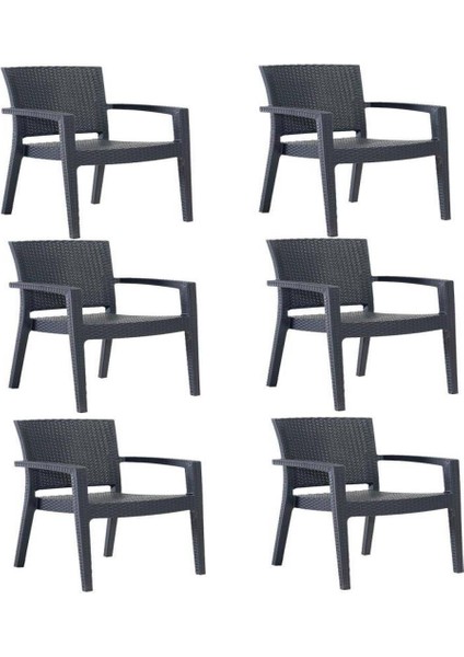 6 Adet Zeugma Rattan Kollu Sandalye Koltuk Antrasit