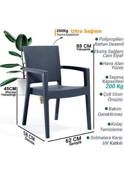 6 Adet Zeugma Rattan Kollu Sandalye Koltuk Antrasit fiyatları