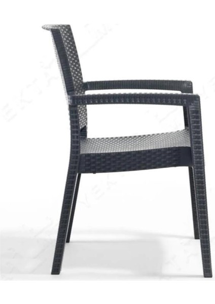 6 Adet Zeugma Rattan Kollu Sandalye Koltuk Antrasit fırsatları