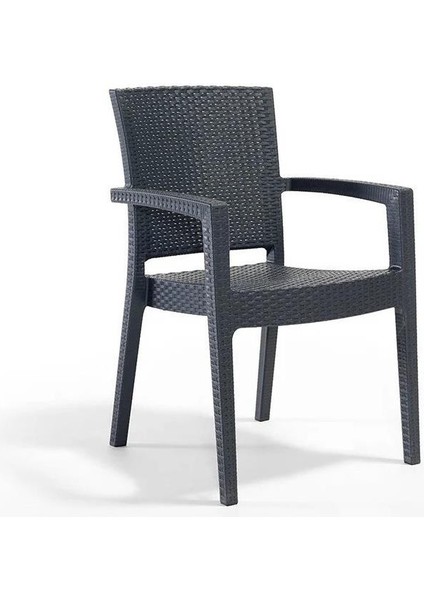 6 Adet Zeugma Rattan Kollu Sandalye Koltuk Antrasit indirimleri