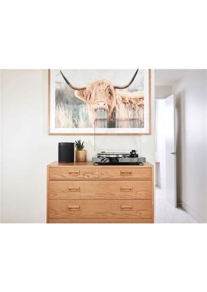 Tt N503 Musiccast Network Plak Çalar indirimleri