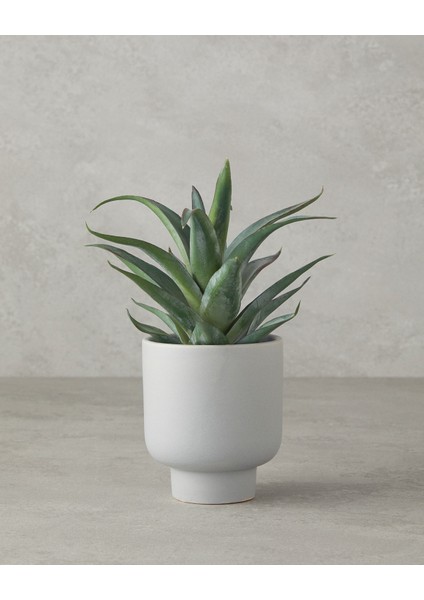 English Home Aloevera Plastik Vazolu Yapay Çiçek Yeşil