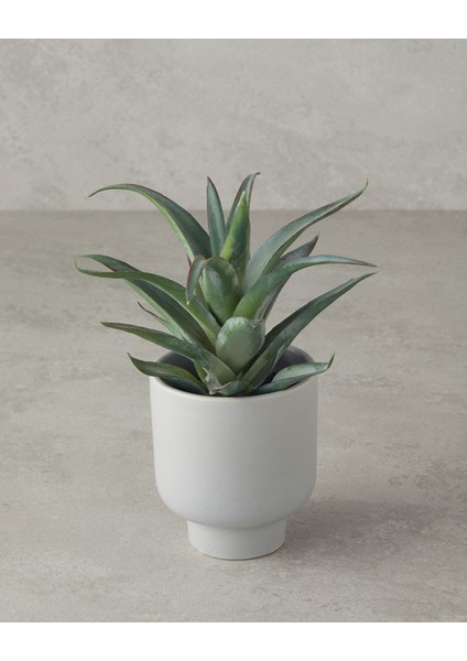 English Home Aloevera Plastik Vazolu Yapay Çiçek Yeşil