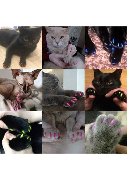 Mor Tarzı 15-20KG Oft Pet Tırnak Kapakları Köpekler ve Kediler Paws Tımar Tırnak Pençeleri Kapaklar 1 Çeşit Yapıştırıcı Tutkal Kapakları Evcil Hayvan Malzemeleri (Yurt Dışından) fiyatları