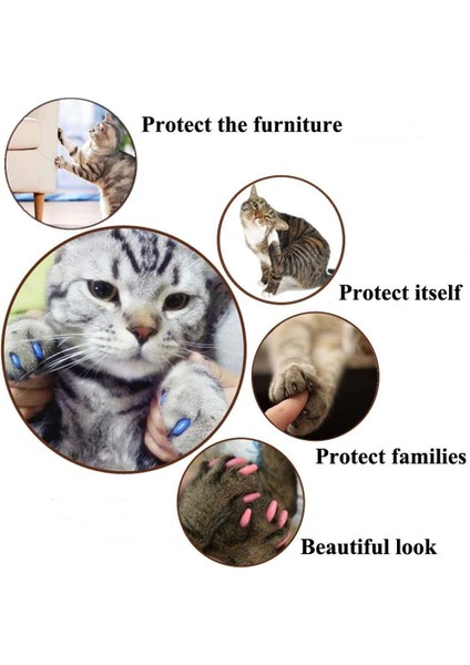 Mor Tarzı 15-20KG Oft Pet Tırnak Kapakları Köpekler ve Kediler Paws Tımar Tırnak Pençeleri Kapaklar 1 Çeşit Yapıştırıcı Tutkal Kapakları Evcil Hayvan Malzemeleri (Yurt Dışından) fırsatları