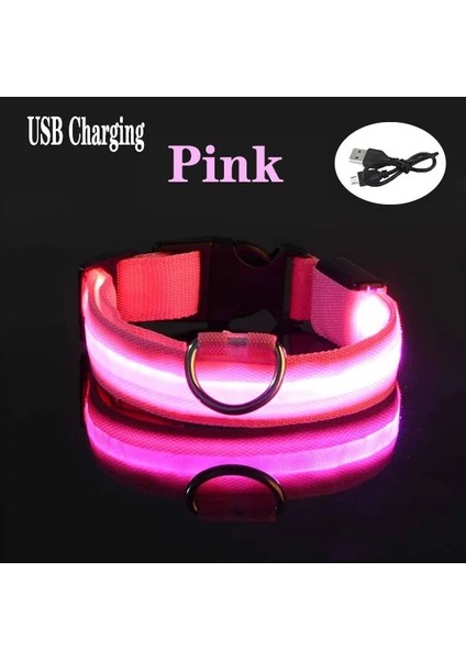 10-Usb Tarzı 35-43CM Pet USB Şarj Edilebilir LED Köpek Yaka Gece Güvenliği Yanıp Sönen Pet Malzemeleri Köpek Aksesuarları Için Köpek LED Yaka (Yurt Dışından)