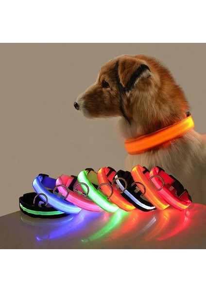 10-Usb Tarzı 35-43CM Pet USB Şarj Edilebilir LED Köpek Yaka Gece Güvenliği Yanıp Sönen Pet Malzemeleri Köpek Aksesuarları Için Köpek LED Yaka (Yurt Dışından) fiyatları