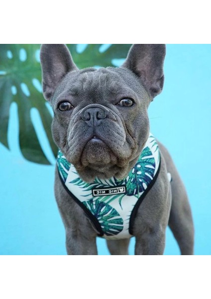 Kırmızı Köpek Tasma Stili Xl Beden Pug Küçük Köpek Koşum Hiçbir Çekme Köpek Yelek Küçük Orta Köpekler Için Koşum Nefes Evcil Hayvanlar Köpek Fransız Bulldog Köpek Koşum Tasma Seti (Yurt Dışından) fiyatları