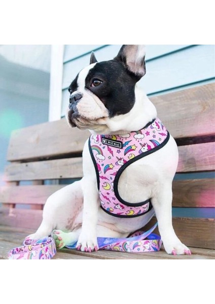 Kırmızı Köpek Tasma Stili Xl Beden Pug Küçük Köpek Koşum Hiçbir Çekme Köpek Yelek Küçük Orta Köpekler Için Koşum Nefes Evcil Hayvanlar Köpek Fransız Bulldog Köpek Koşum Tasma Seti (Yurt Dışından) modelleri