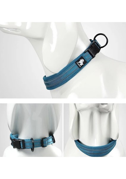 Mor Tarzı Xxl Truelove Ayarlanabilir Örgü Yastıklı Pet Köpek Tasması 3m Yansıtıcı Naylon Köpek Tasması Tüm Cinsler Için Tüm Hava Koşullarında Dayanıklı Ağır Hizmet 8size (Yurt Dışından) modelleri