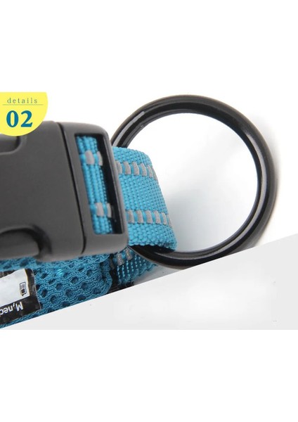 Mor Tarzı Xxl Truelove Ayarlanabilir Örgü Yastıklı Pet Köpek Tasması 3m Yansıtıcı Naylon Köpek Tasması Tüm Cinsler Için Tüm Hava Koşullarında Dayanıklı Ağır Hizmet 8size (Yurt Dışından) indirimleri