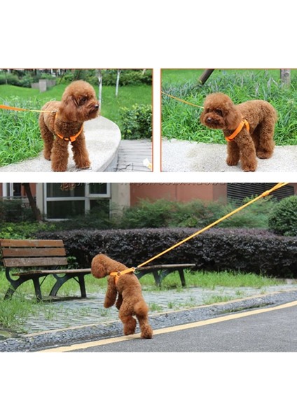 Sarı Stil 30-35CM Naylon Pet Güvenlik LED Koşum Köpek Ürünü Yanıp Sönen Işık Koşum LED Köpek Koşum Tasma Halat Kemer LED Köpek Yaka Yelek Pet Malzemeleri (Yurt Dışından) fırsatları